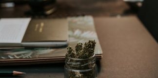 Exactly how to avoid Your Buy to Let Building Becoming a Cannabis Ranch