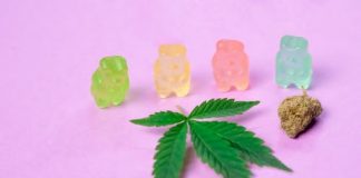 What Are the CBD Wellness Conveniences in Caring For Cancer?