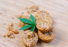 Hemp Growth For The Future!