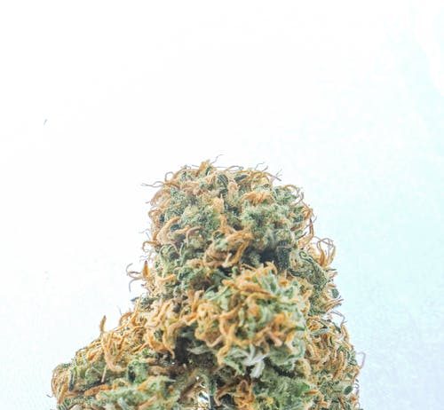 How to Beginning a Home-Based CBD Organization