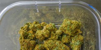 The Secret Wellness Conveniences of Hemp Healthy Protein