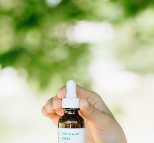 CBD Oil for Pet Dogs: A Wonder Medicine for All the Dogs Out There