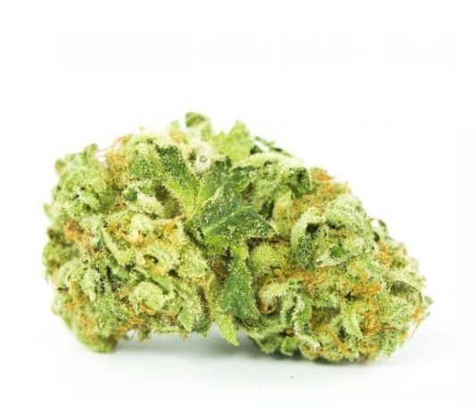 5 of the Most Powerful Cannabis Strains to Try Amnesia Haze