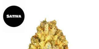 How Does Marijuana Consumption Affect Your Health? HRM marijuana delivery