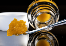 Explore New York’s Best Concentrate Deals and Live Resin Concentrate Delivery Choices.